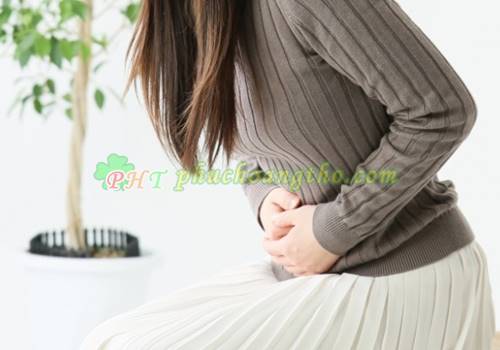 Cách chữa bệnh đau dạ dày - Bài thuốc 3