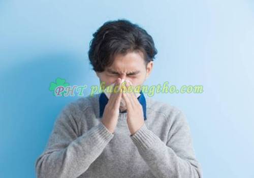 Cách chữa bệnh viêm xoang mãn tính - Bài thuốc 2