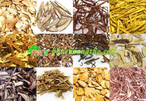 Cách chữa viêm xoang trán viêm xoang sàng - Bài thuốc 3