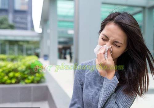 Cách trị viêm mũi dị ứng - Bài thuốc 4