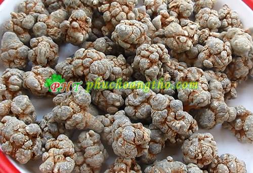 Củ tam thất bắc thượng hạng