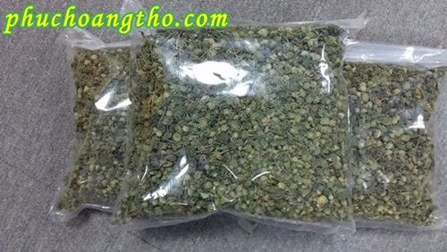 Tác dụng điều trị bệnh của nụ hoa tam thất