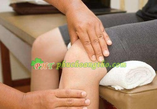 Thuốc chữa bệnh viêm xương khớp - Bài thuốc 3