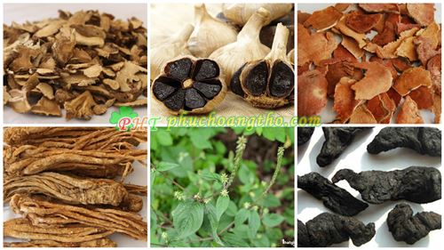 Thuốc trị đau nhức xương khớp - Bài thuốc 4